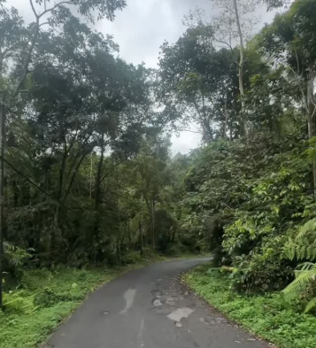 Selanbawak, Marga, Bali