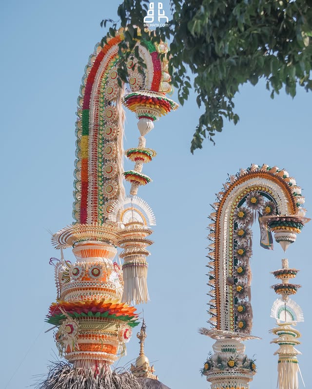 Penjor Megah yang ikut terlihat saat Tradisi Siat Tipat berlangsung di Desa Kapal,Dokumentasi dari @balikami 