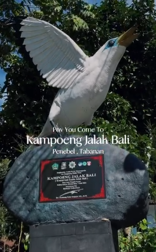 Kampoeng Jalak Bali