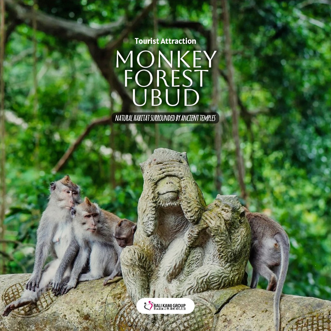 Ubud Monkey Forest Bali dengan kera ekor panjang di hutan tropis