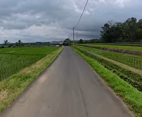 Jatiluwih Tabanan